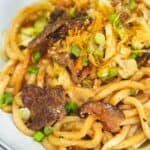 Yaki Udon on a plate.