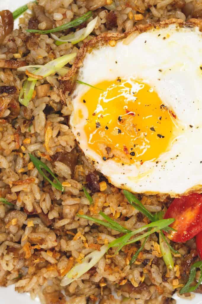 Adobo Fried Rice Recipes by Nora
