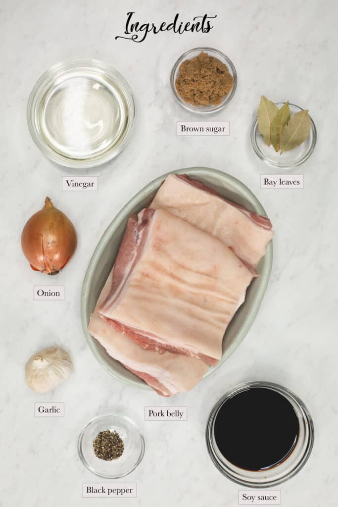 Filipino Pork Adobo Recipes by Nora