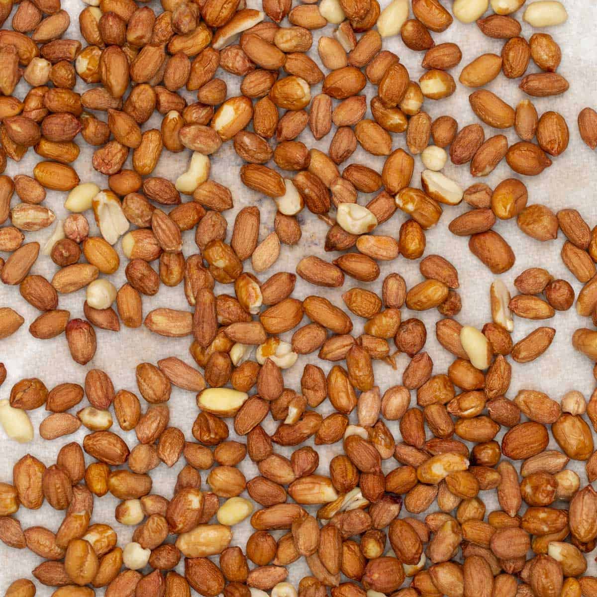 Rinsed raw peanuts on paper towels.