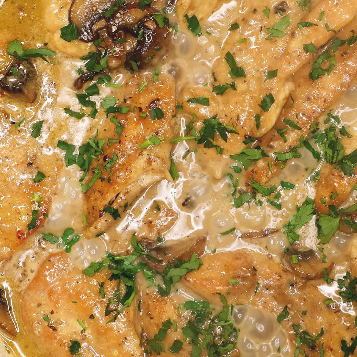 cooked chicken marsala