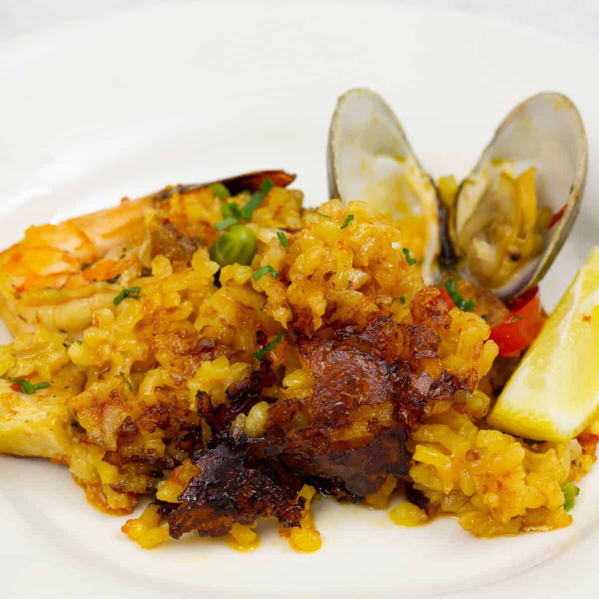 Paella with socarrat in the pan.