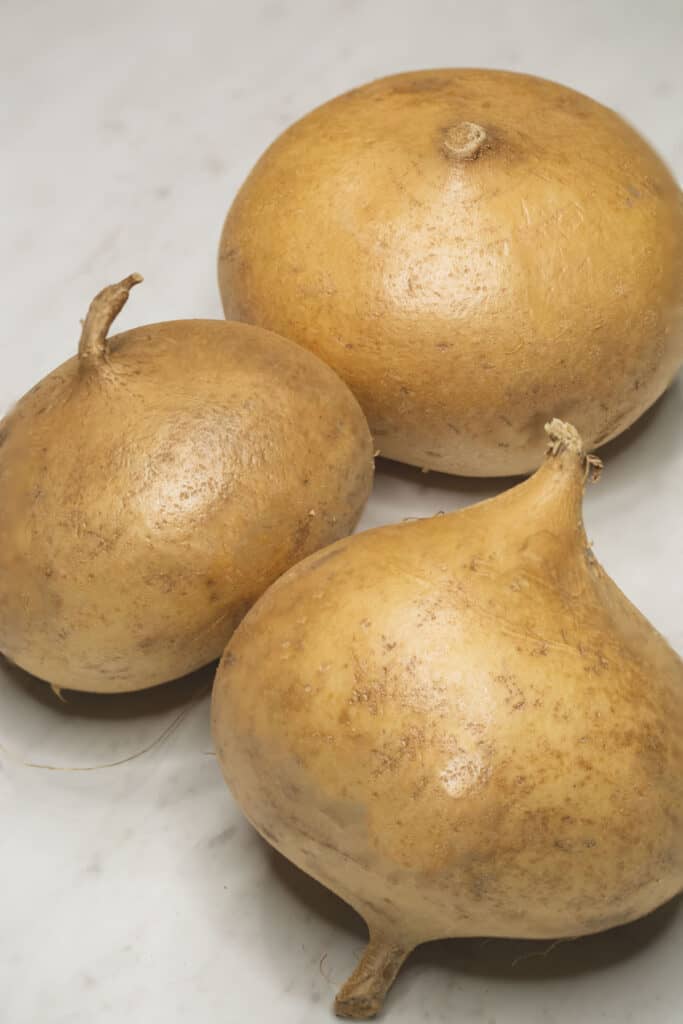 Jicama (Singkamas) Recipes by Nora