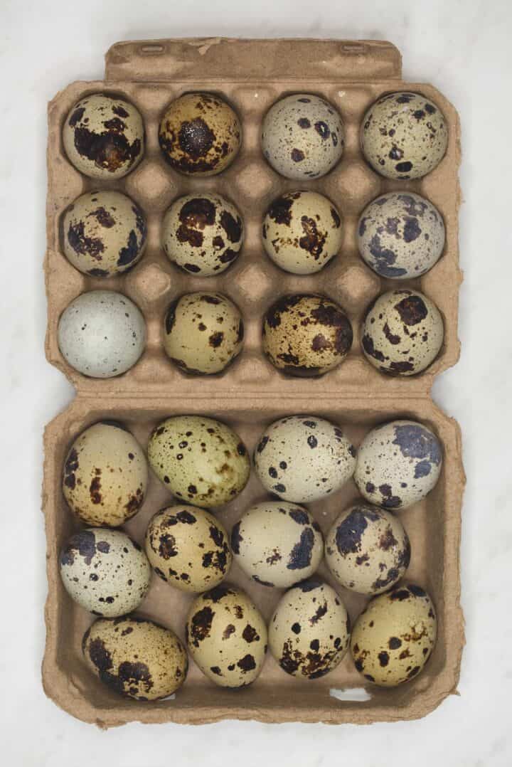 Quail Eggs (Itlog ng Pugo) Recipes by Nora