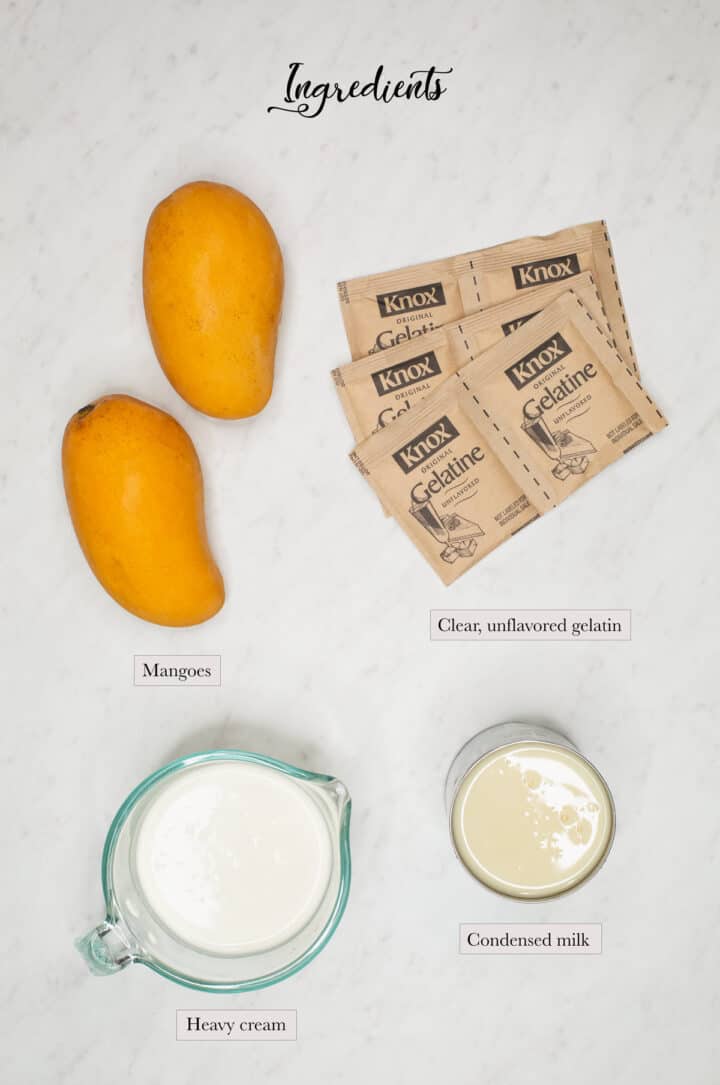 Mango Gelatin Recipe Recipes by Nora