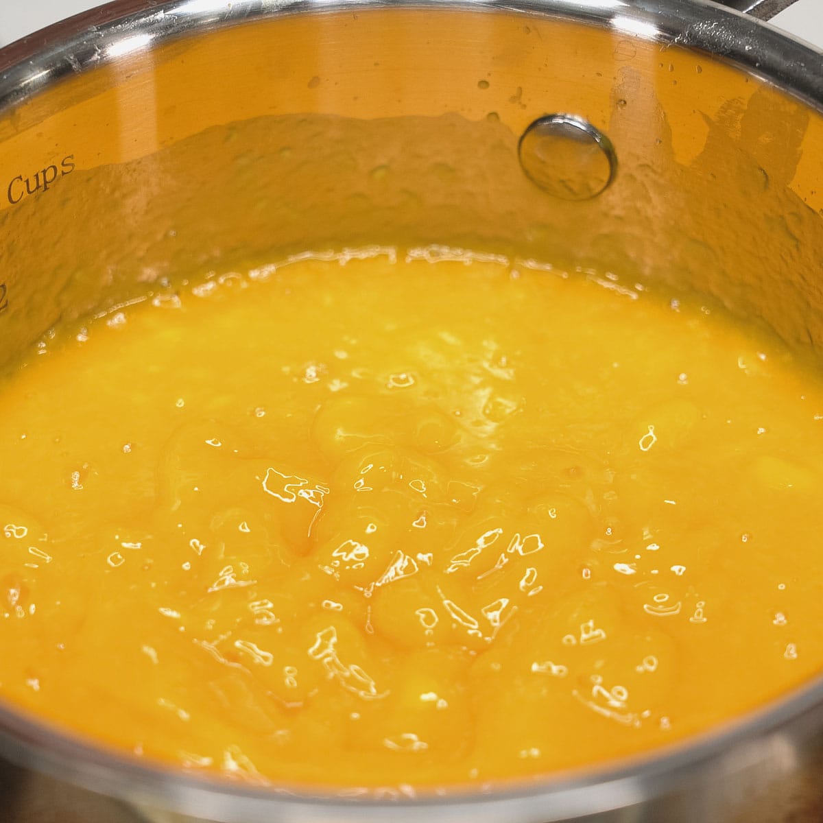 blended mangoes