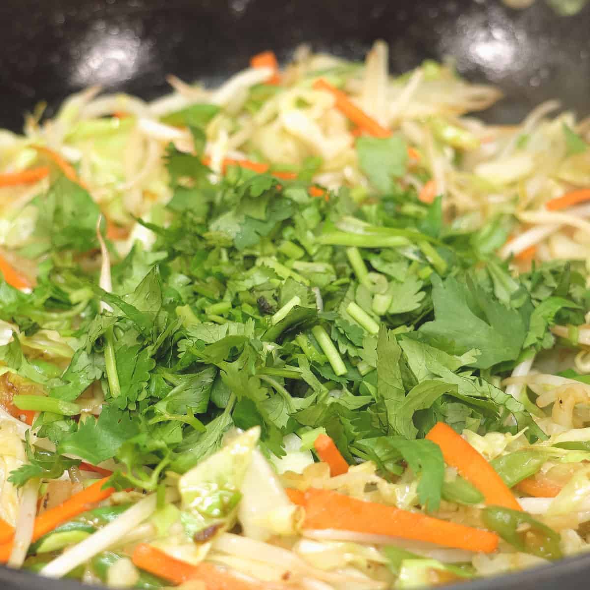Scallions and cilantro with the rest of the vegetables in the wok.