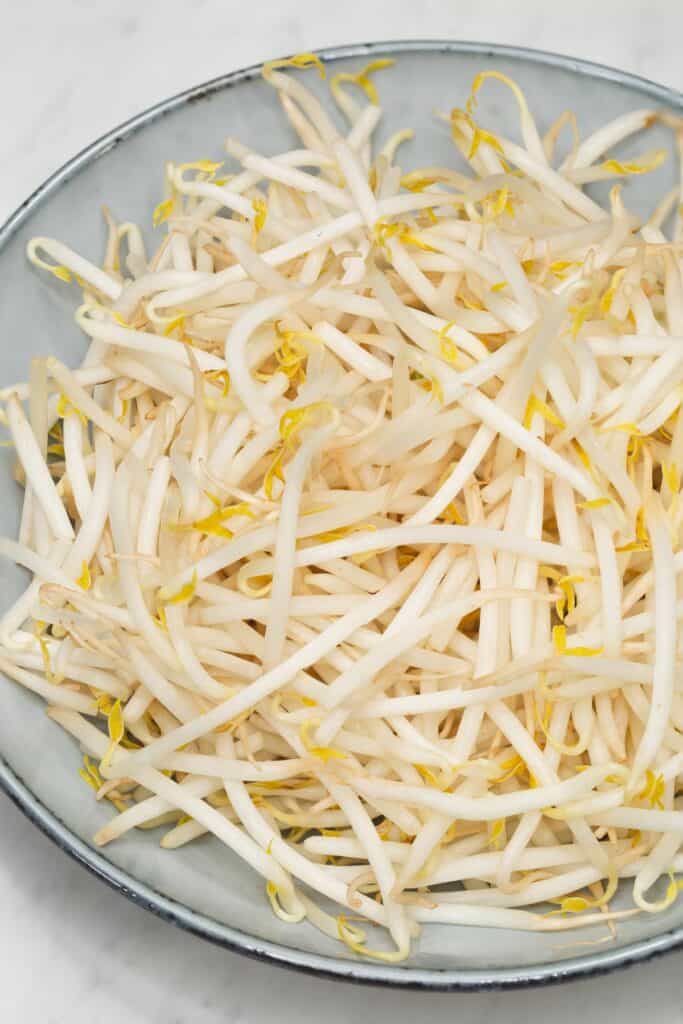 Mung Bean Sprouts (Togue) Recipes by Nora