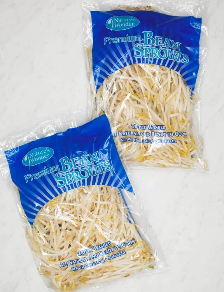 Mung Bean Sprouts (Togue) Recipes by Nora