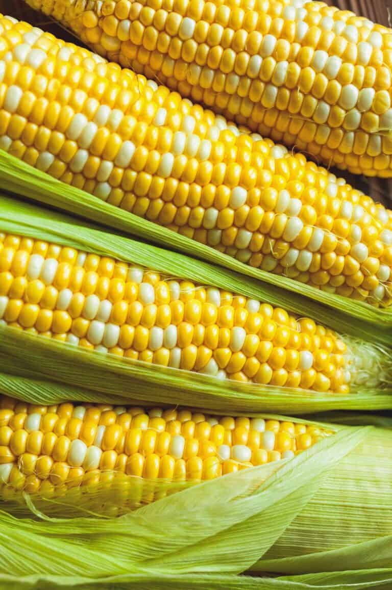 Corn (Mais): Types of Corn and How it’s Used in Cooking