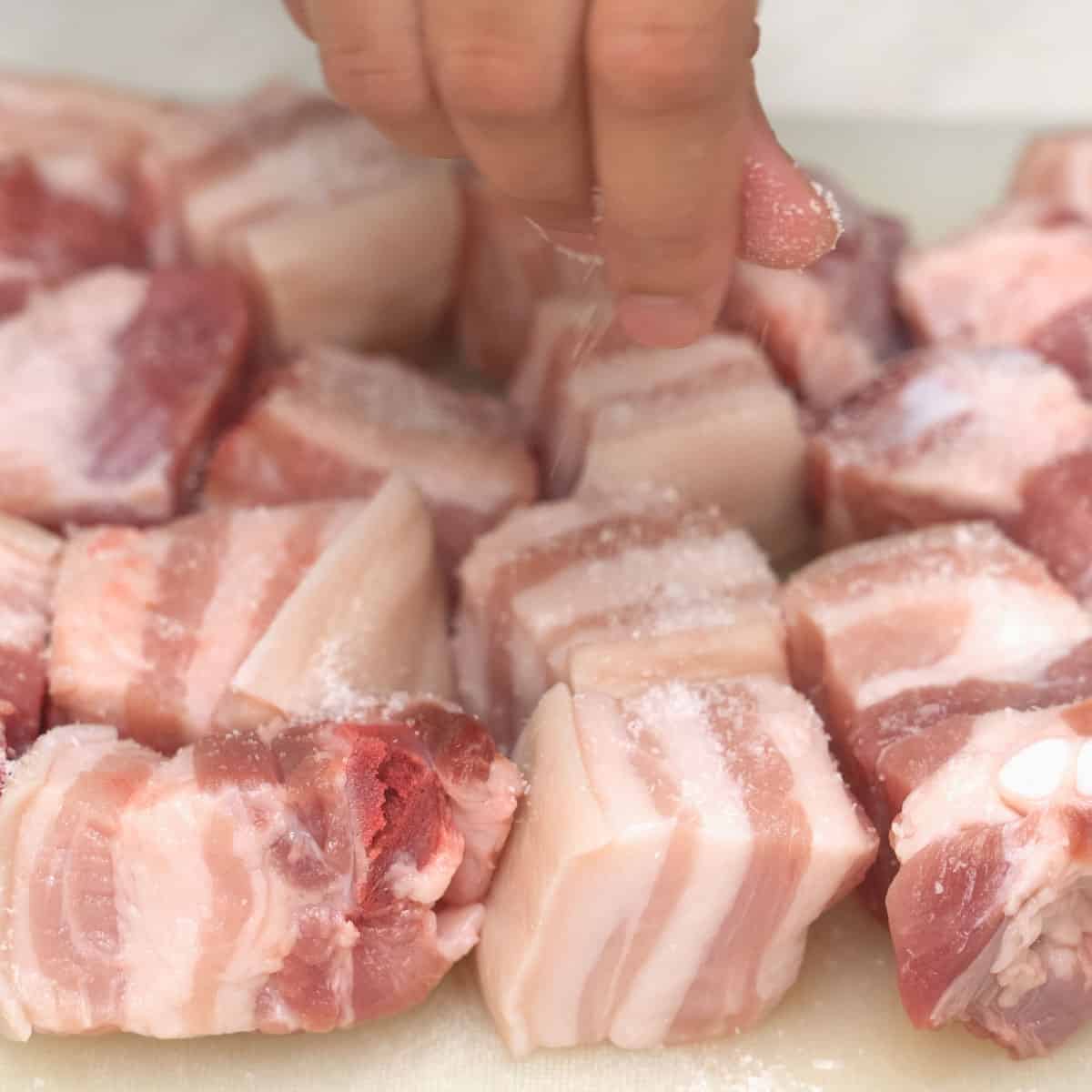 seasoning pork