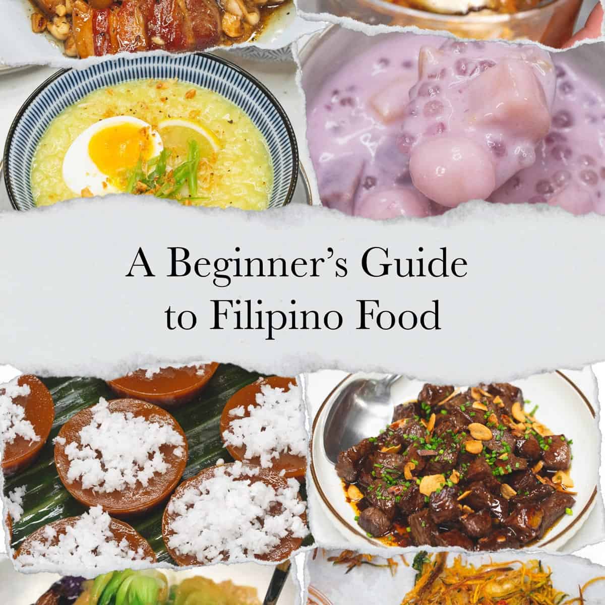 A Beginner s Guide To Filipino Food Recipes By Nora a-beginner-s-guide-to-filipino-food-recipes-by-nora