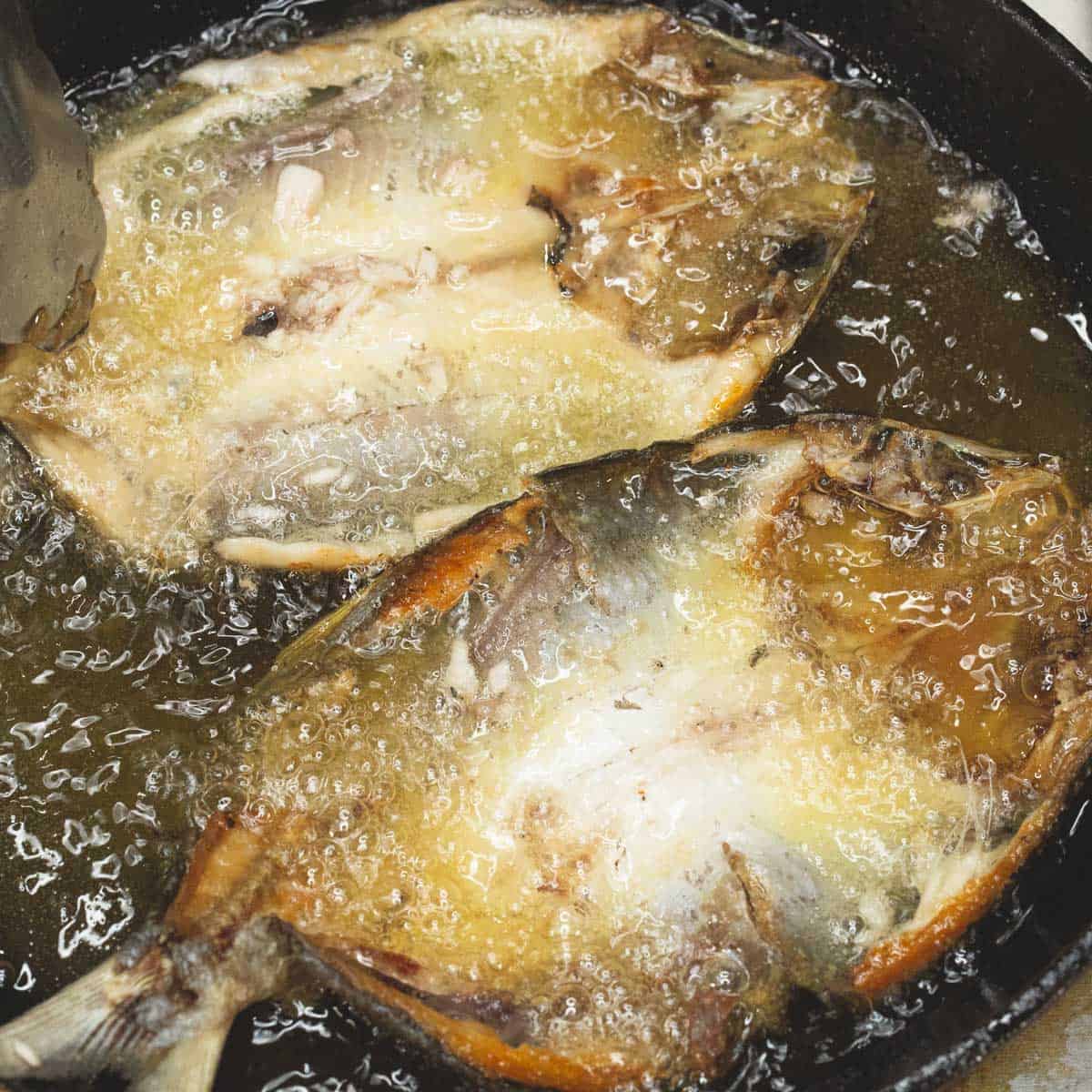 frying the bangus skin