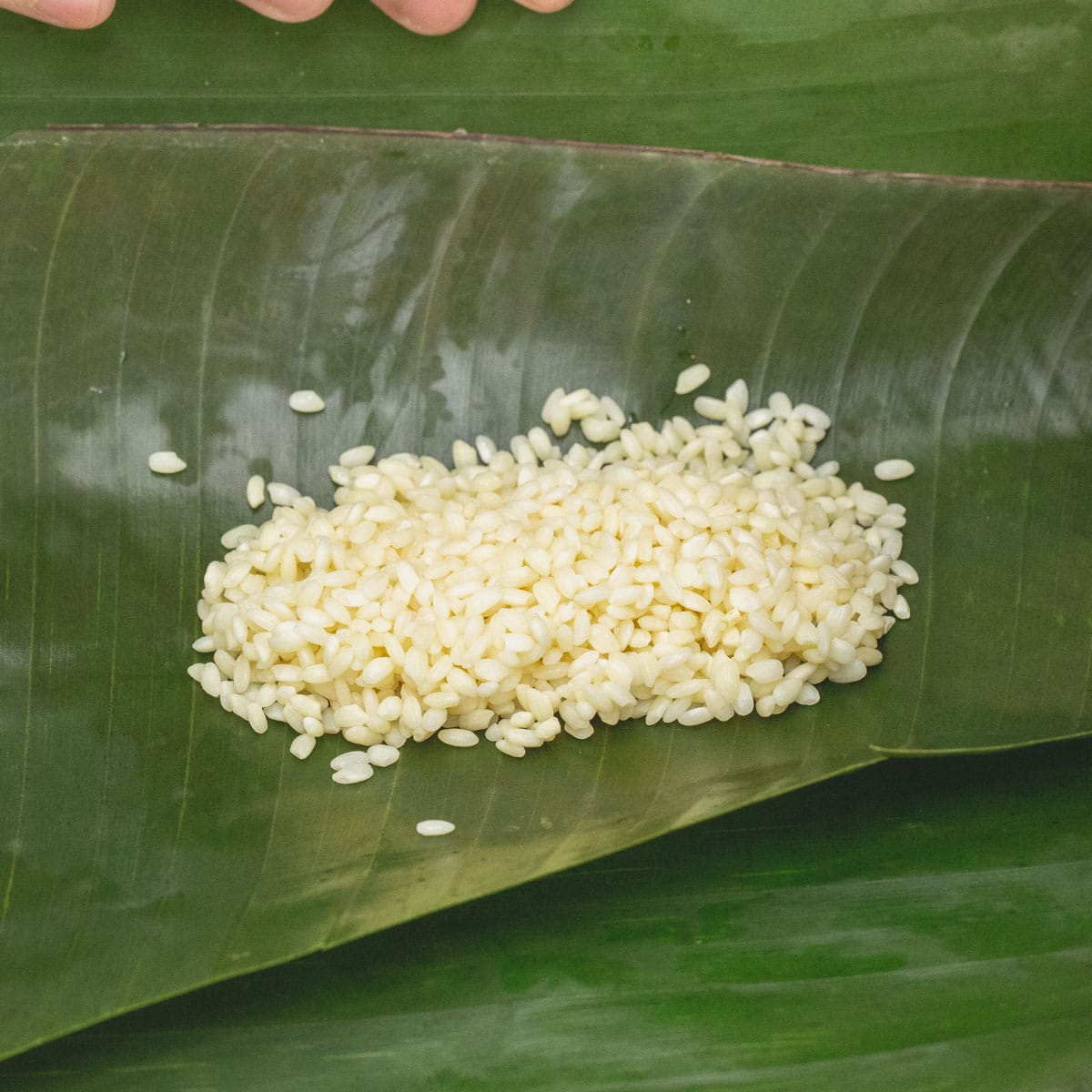 adding rice on the center of the banana leaf