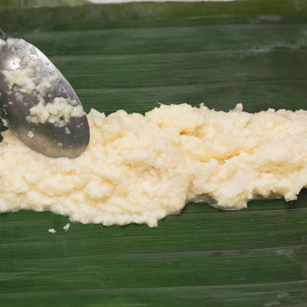 Placing about 3 tablespoons cassava mixture near one end of the banana leaf