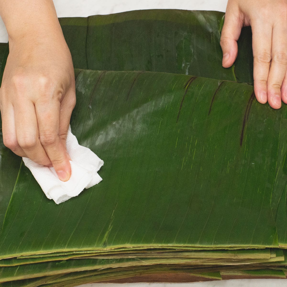 Wiping the banana leaves