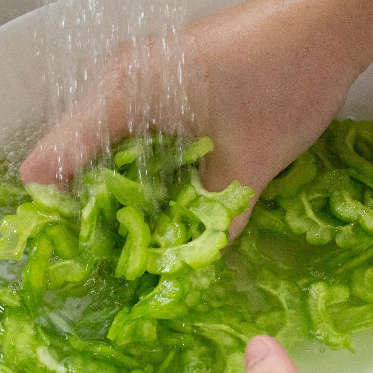 rinsing ampalaya under running water. 