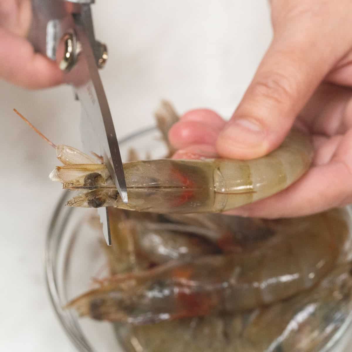 cutting shrimp's sharp end.