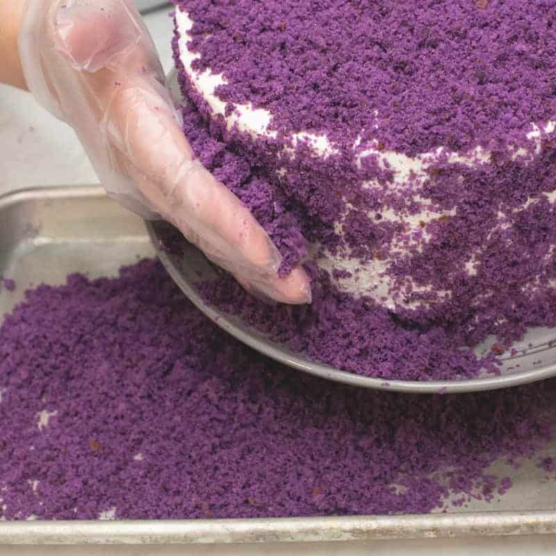 Coating the cake with the cake crumbs.