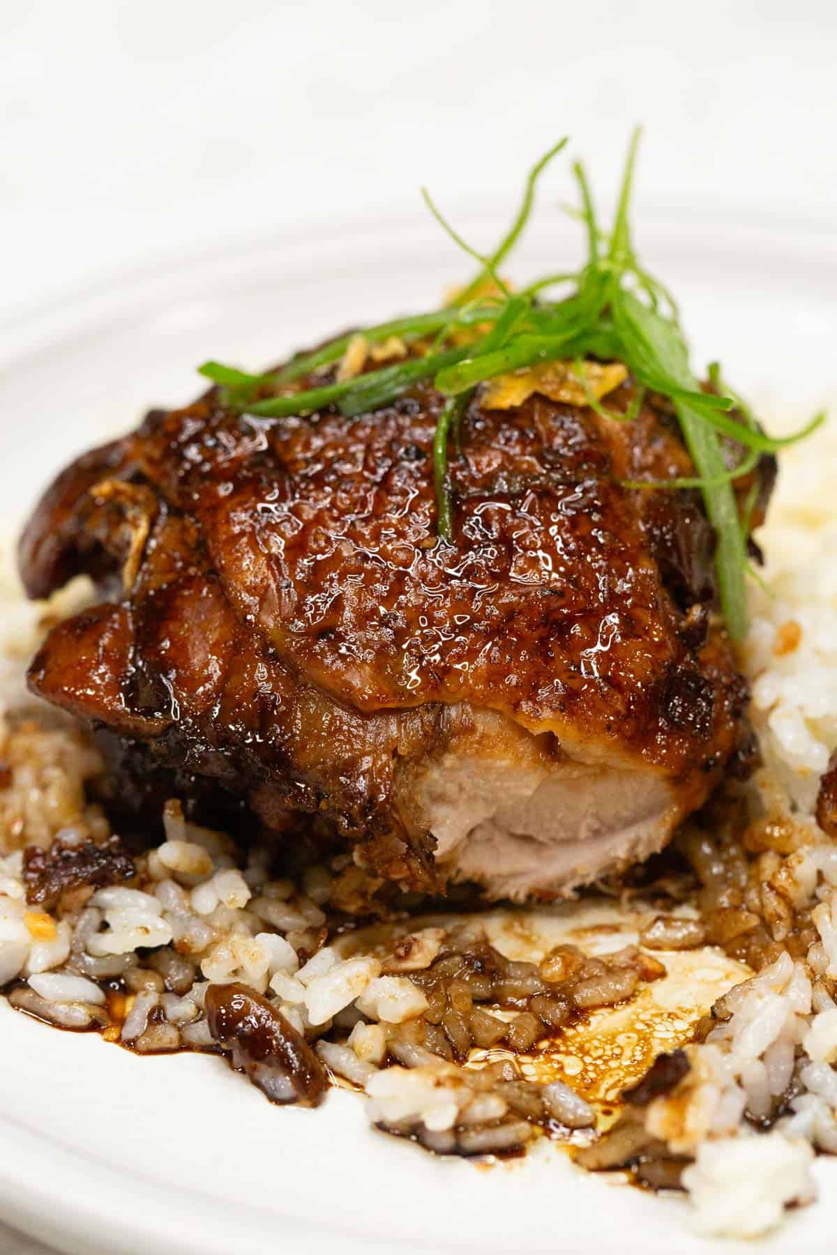 Chicken adobo and rice on a plate.