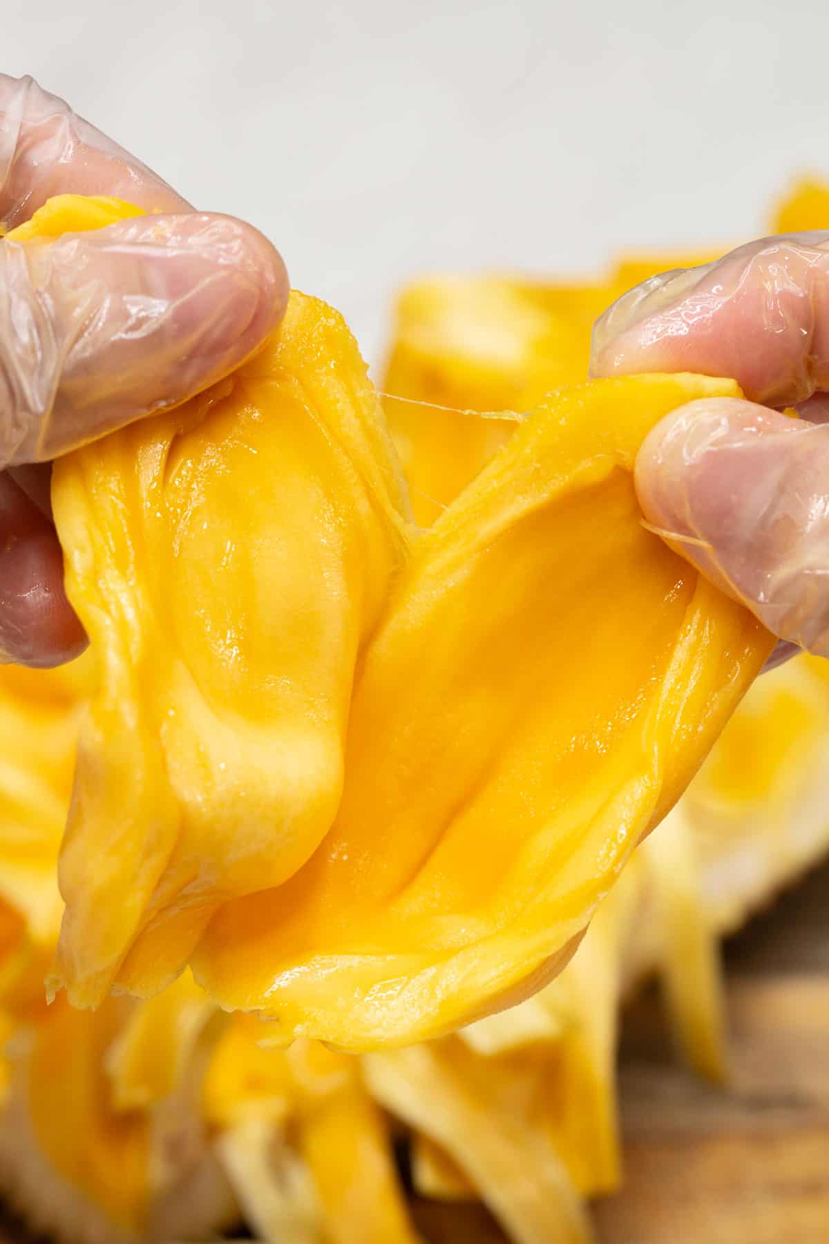 Dividing a jackfruit pod open.