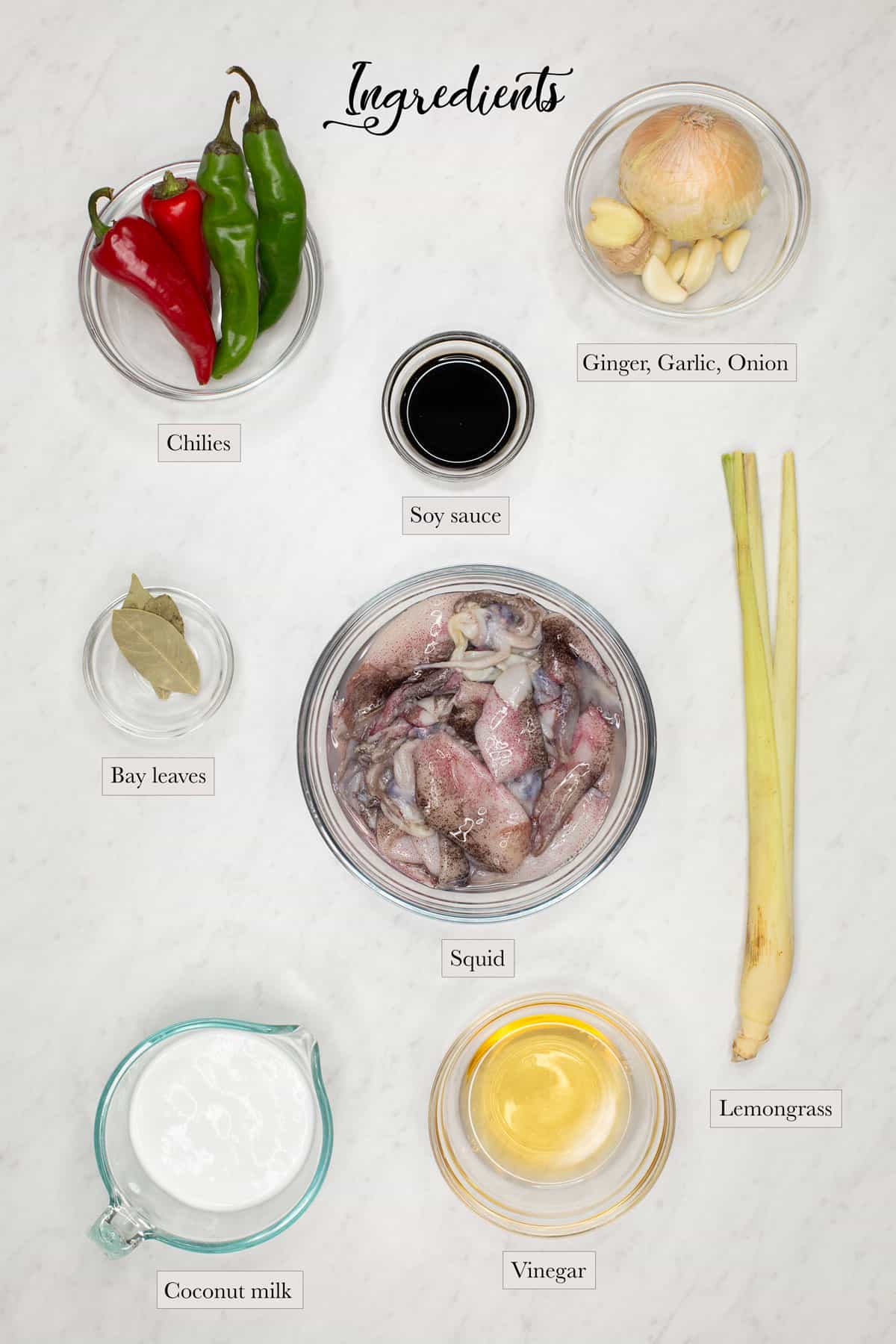 Individual ingredients for Adobong Pusit sa Gata.