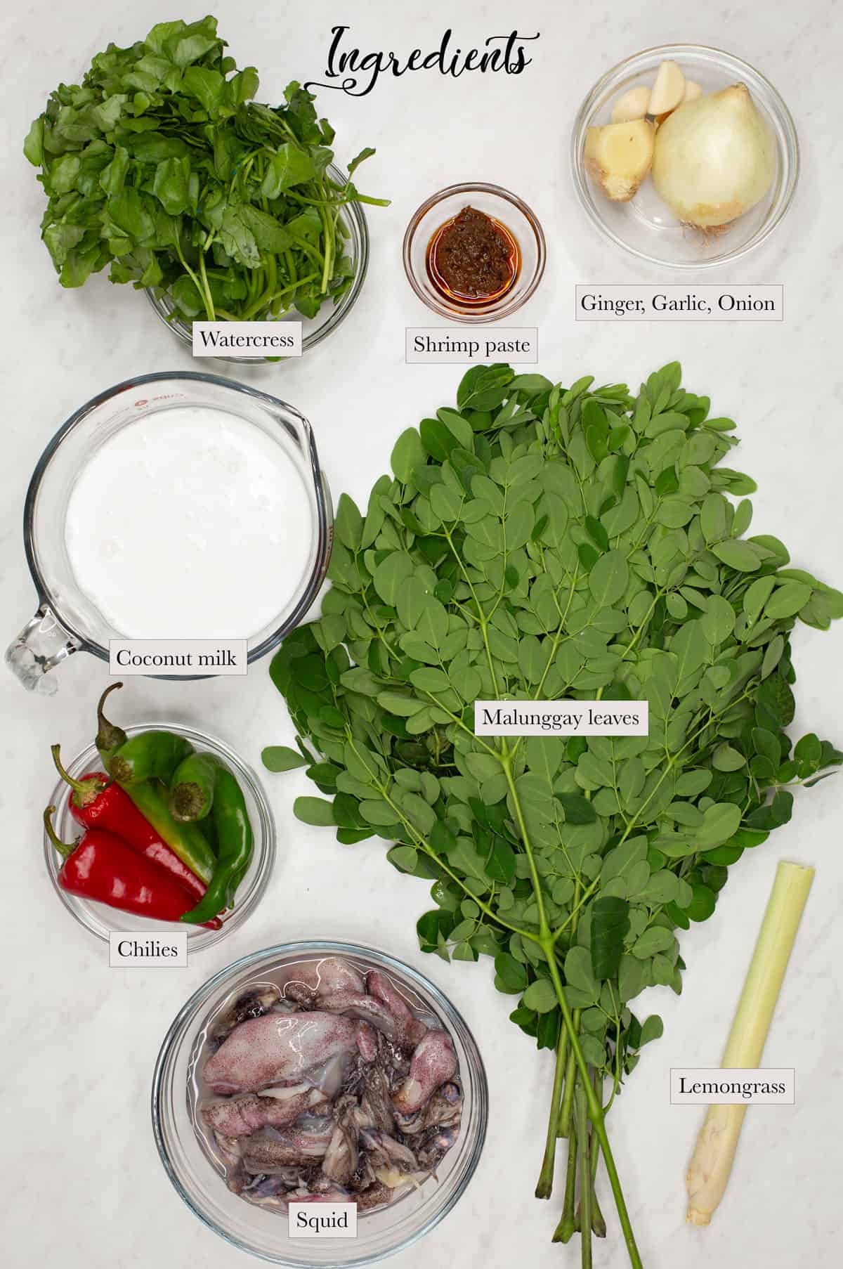 Individual ingredients for Ginataang Pusit with Malunggay
