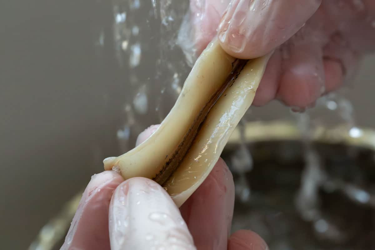 Cleaning the belly of the fish under running water.