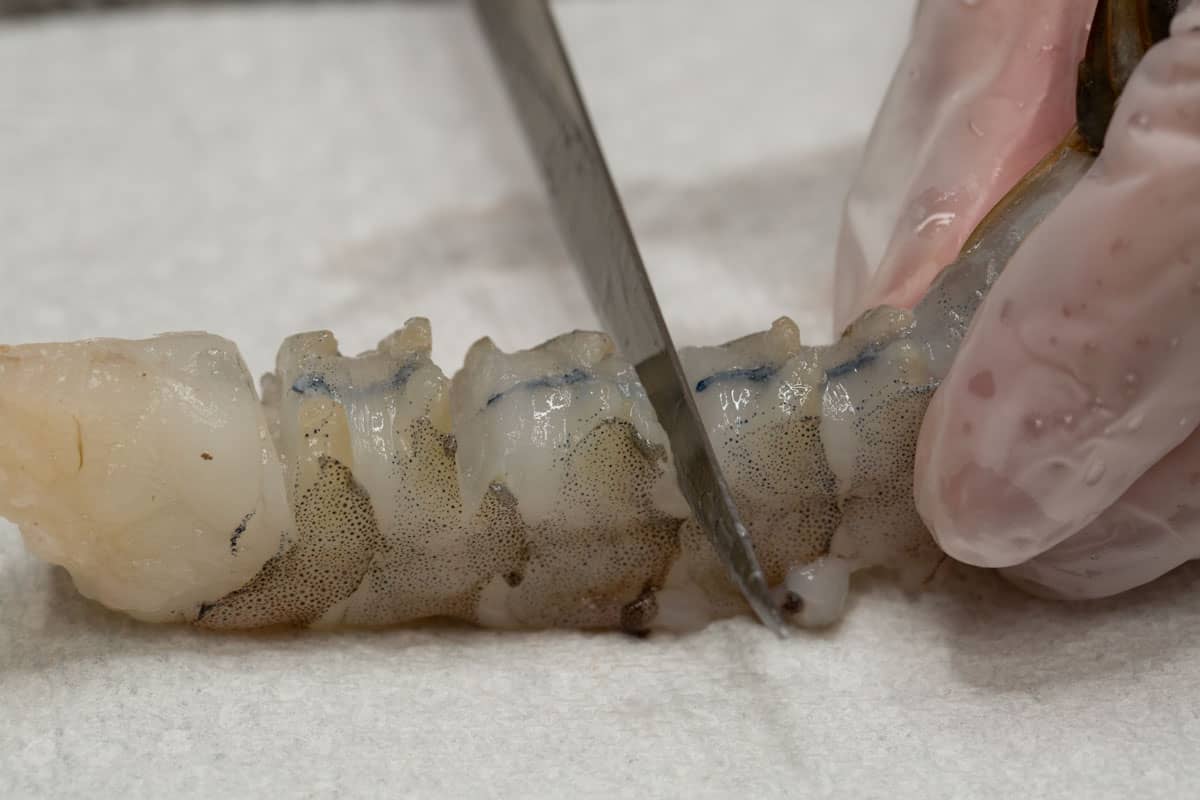 Making shallow cuts along the inside curve of the shrimp. 