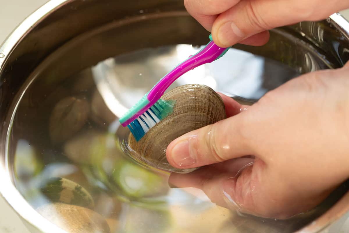 Scrubbing the clam with a toothbrush over a bowl of clams.