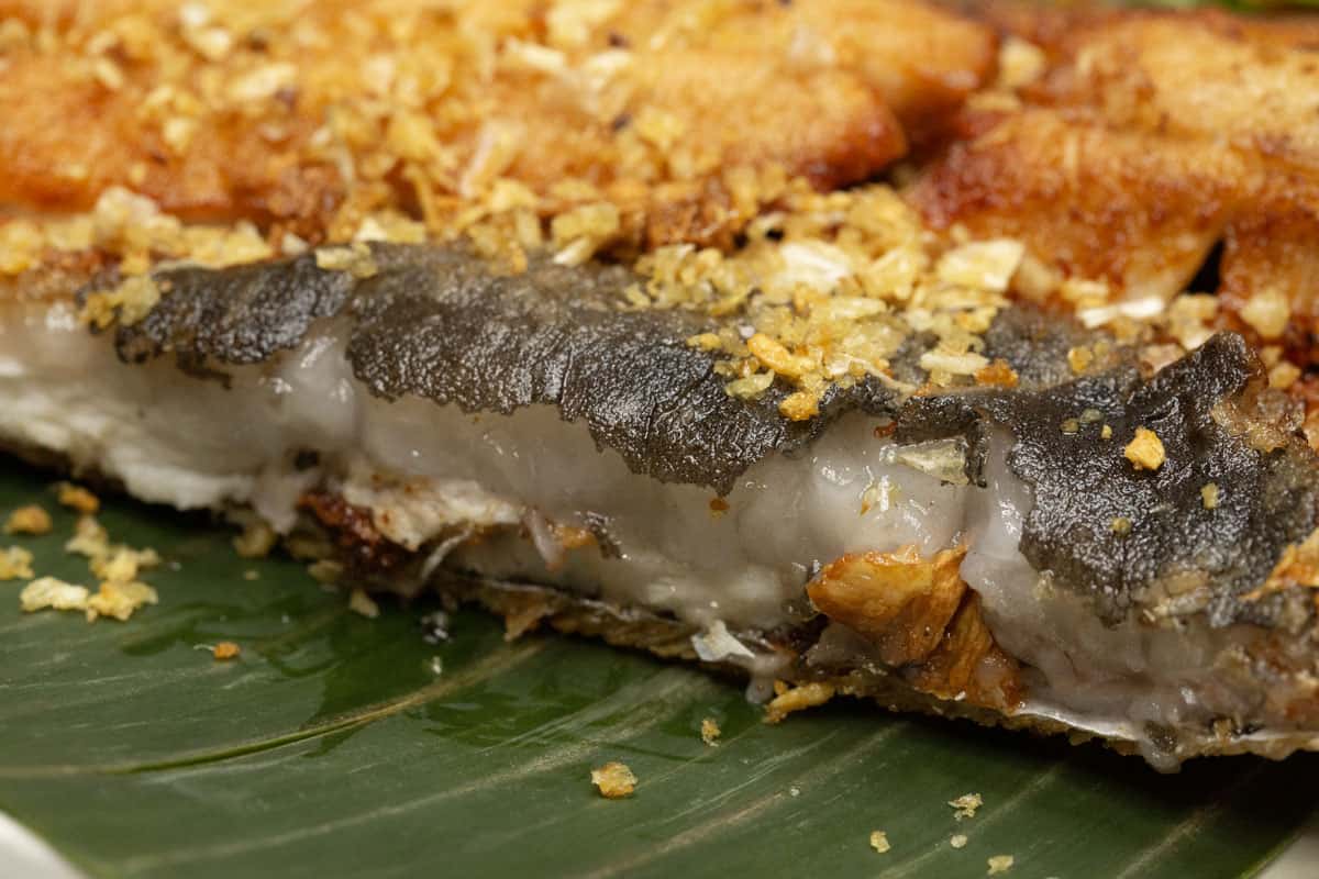 Fried bangus belly topped with fried garlic.