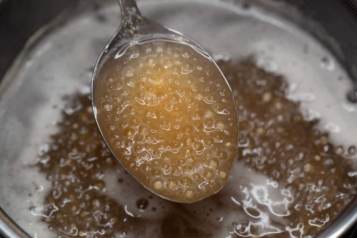 Cooked sago in a spoon.