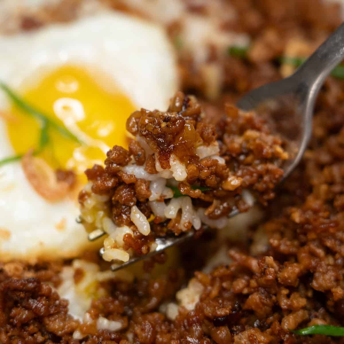Adobong giniling and rice on a fork.