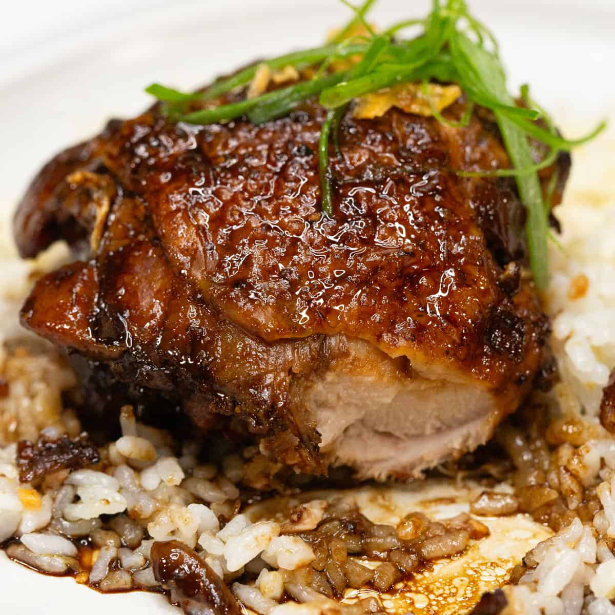 Chicken adobo with rice