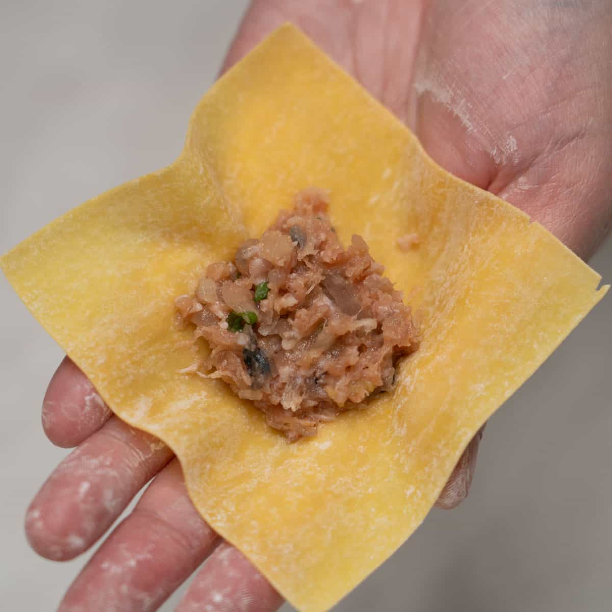 Meat filling on a wonton wrapper.
