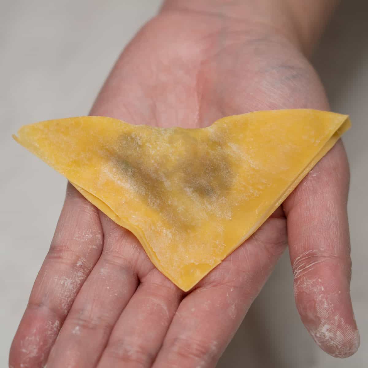 Wonton wrapper folded into a triangle.