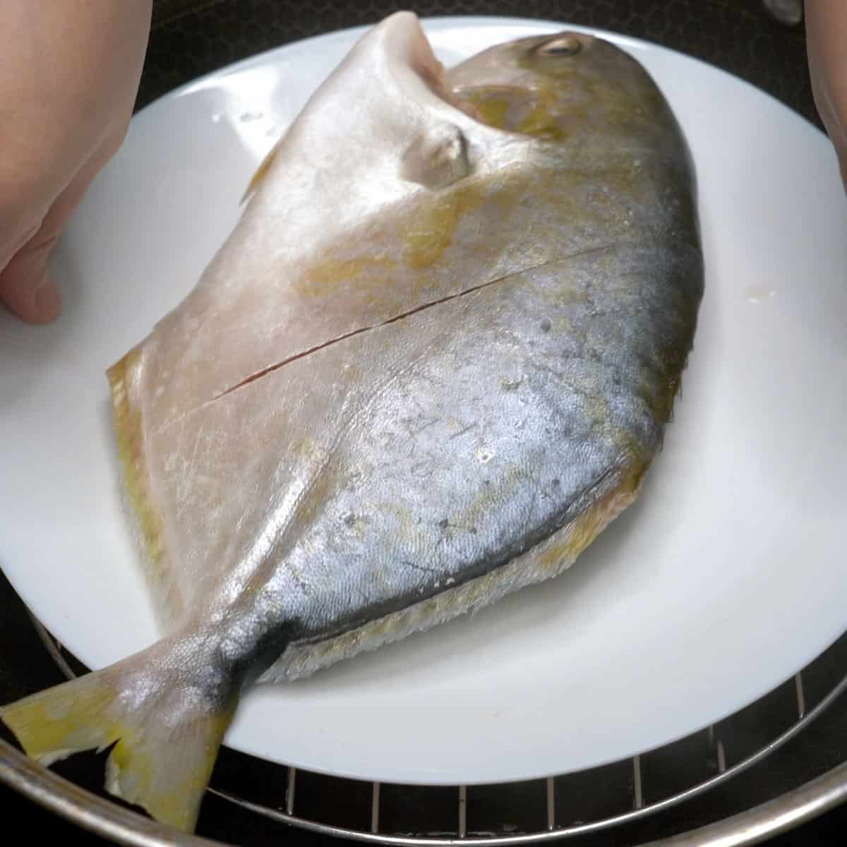 Placing the fish on a plate over the rack in the steamer.