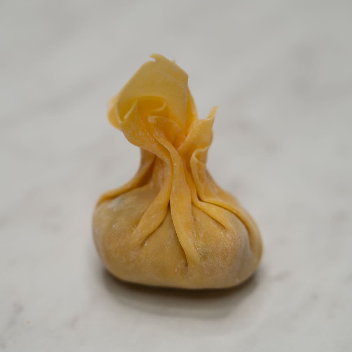 Pouch shaped-wonton