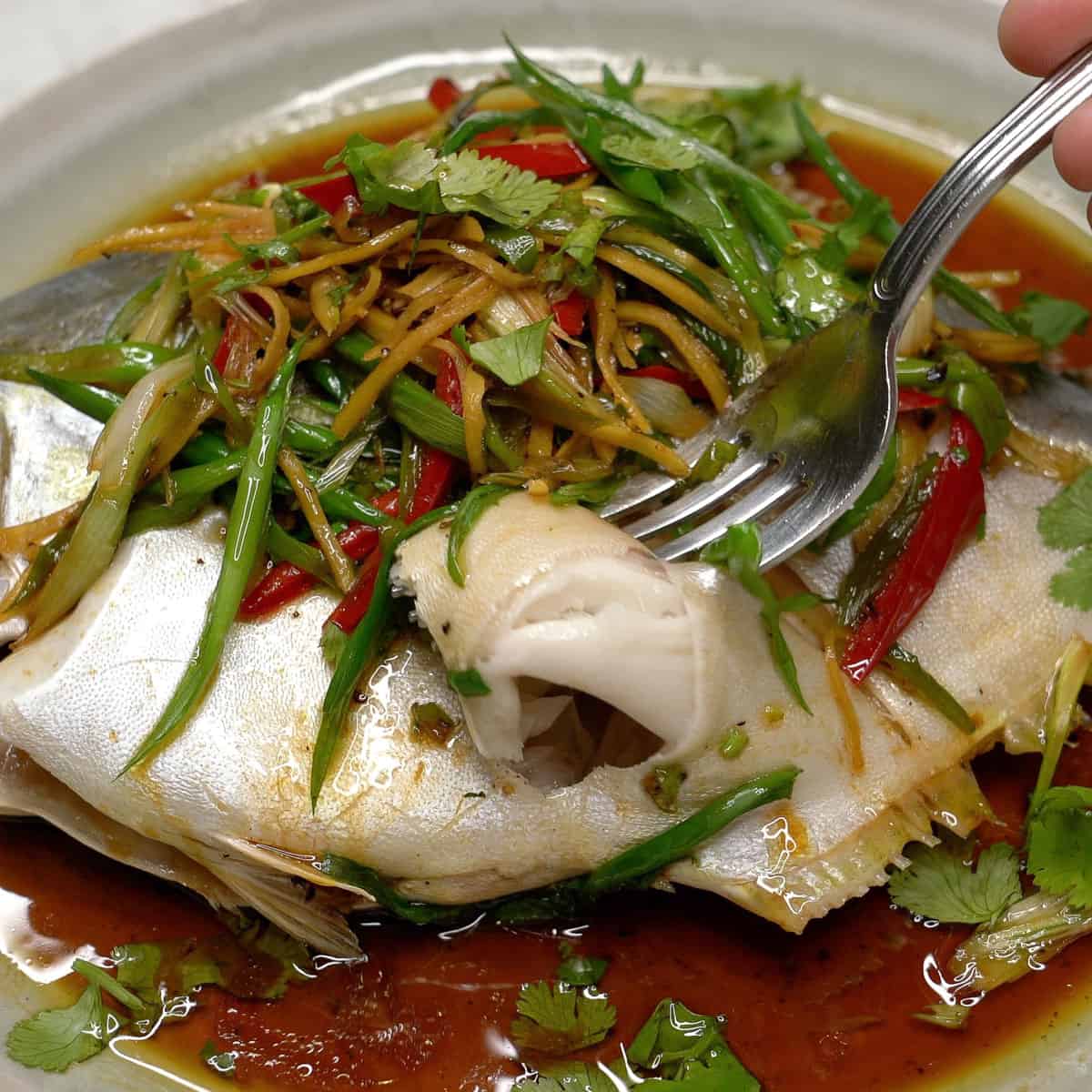Poking the steamed pompano with a fork.