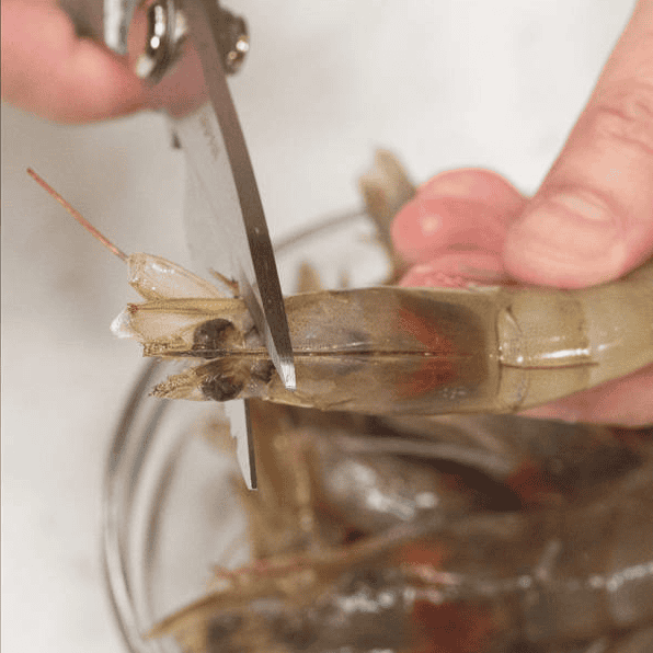 Trimming shrimp antennae with kitchen shears.