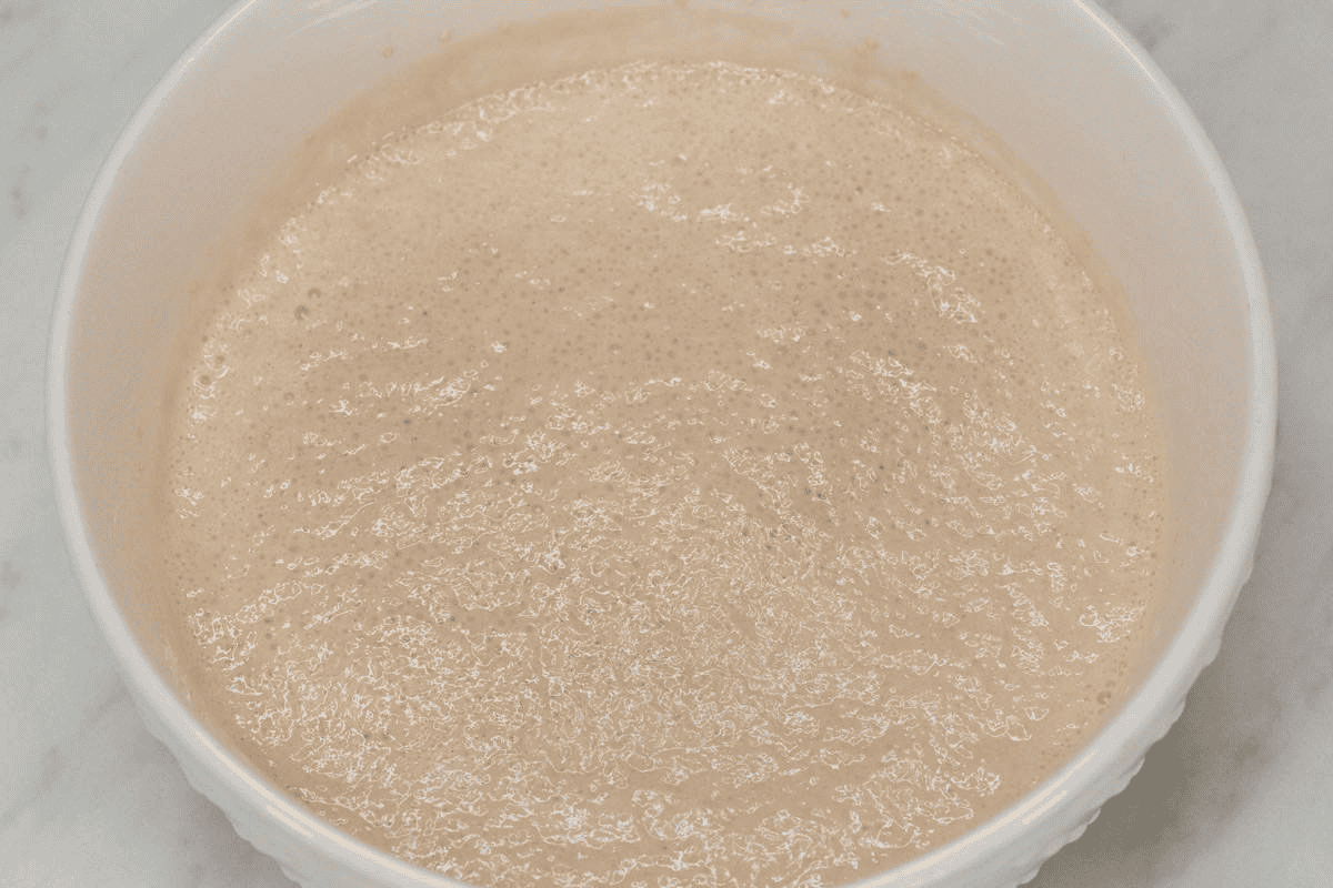 Activated yeast in a bowl.