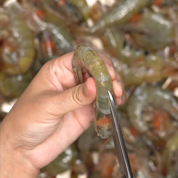 Cutting the pointy end of the shrimp and making an incision along the back.