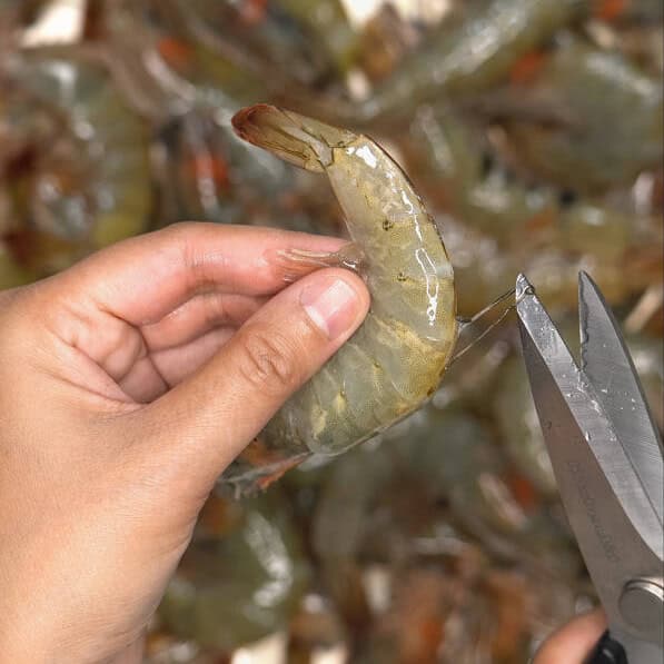 Exposing the vein of the shrimp and pulling it out.